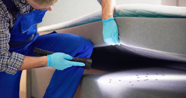 Best Pest Control for Homes  in Frent Hills, MO