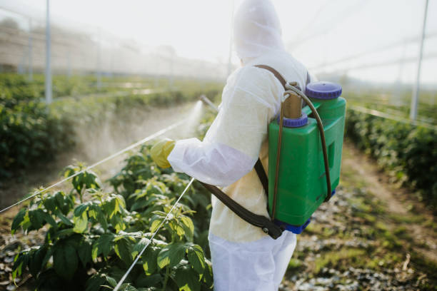 Best Best Pest Control Near Me  in Frent Hills, MO